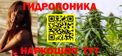 ПСИЛОЦИБИНОВЫЕ ГРИБЫ Кулебаки