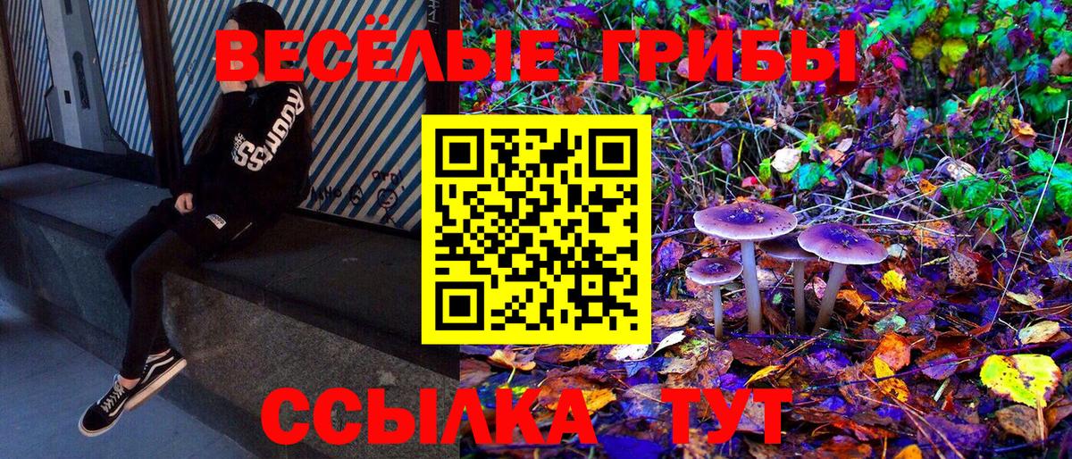 Галлюциногенные грибы ЛСД  Вход с VPN  наркошоп  Усть-Илимск 